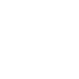 BTW Logo